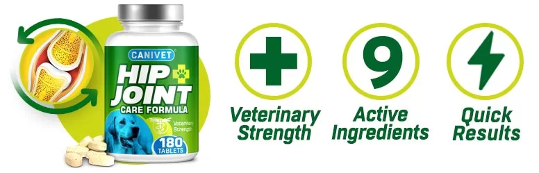 CANIVET The best joint supplements for dogs UK owners can buy
