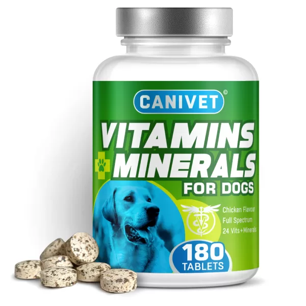 CANIVET-Multivits-Main CANIVET - The Best Vitamins for Dogs UK