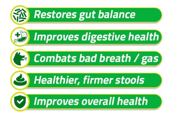 CANIVET - Probiotics for dogs. Veterinary formulated canine probiotic.