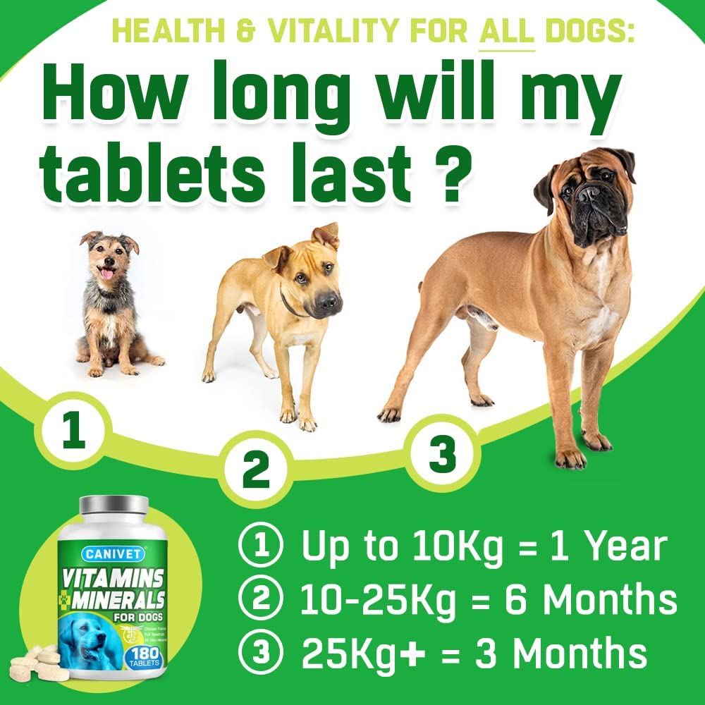 Should My Dog Take Vitamins