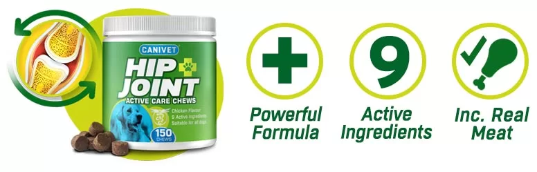 CANIVET - The best dog joint supplement