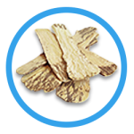 Astragalus Root 