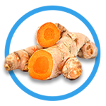 Turmeric Root