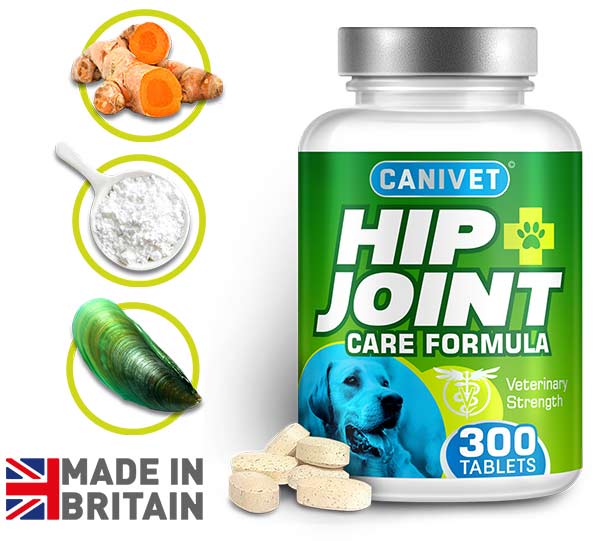 A 300 tablet pot of CANIVET Hip and Joint Supplement for dogs