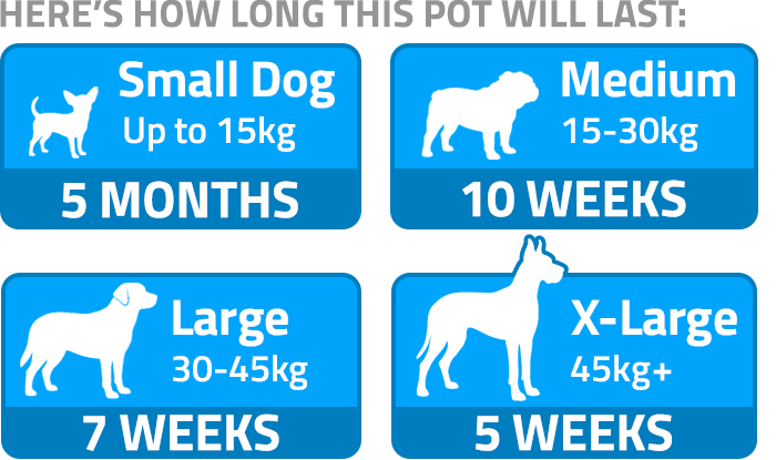 How long this pot will last – dog size guide