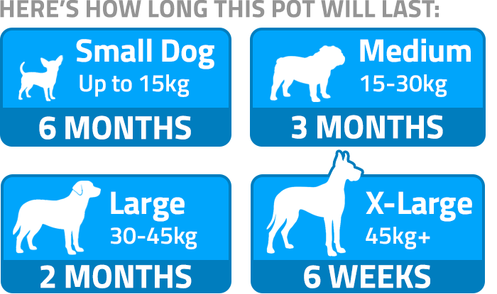 How long this pot will last – dog size guide