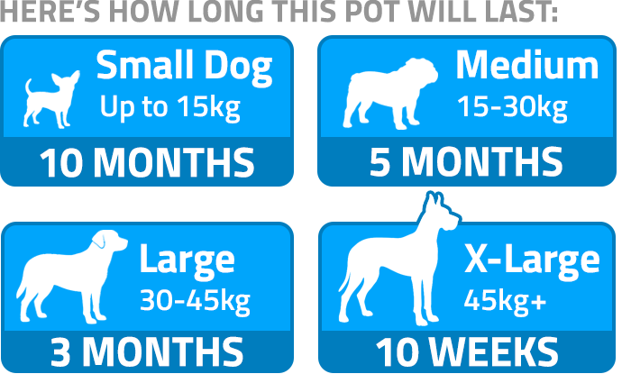 How long this pot will last – dog size guide