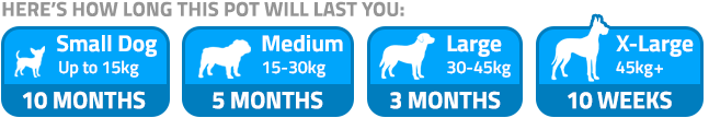 How long this pot will last – dog size guide