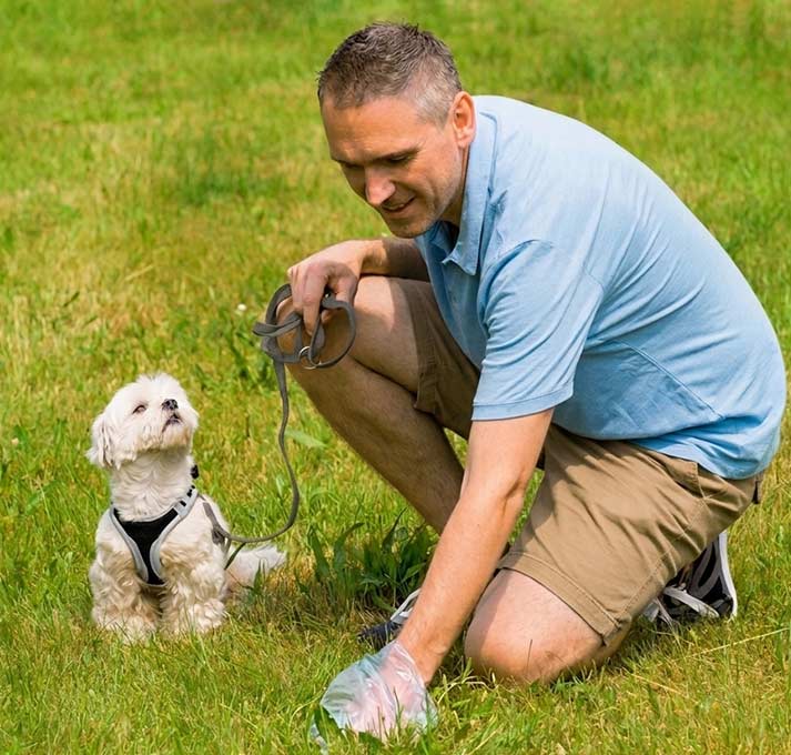 Owner picking up firmer dog stools in the park after using CANIVET probiotics