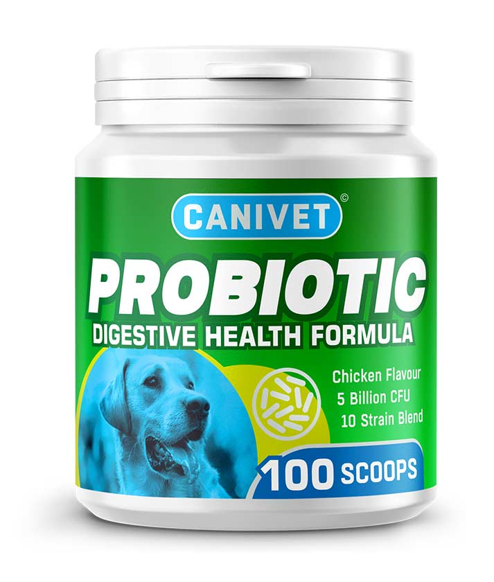 CANIVET Probiotics for Dogs 100g powder pot - multi-strain formula