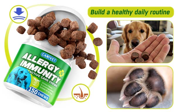 CANIVET Allergy and Immunity chews can form part of a daily routine for healthy paws