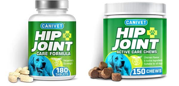 Dog joint tablets or chews? Which are right for your dog?