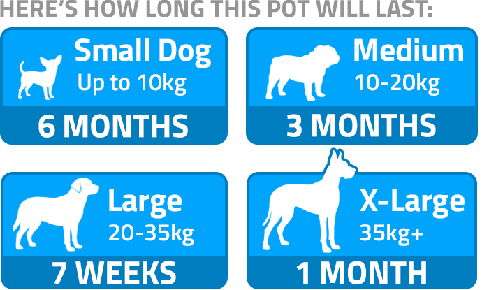 How long this pot will last – dog size guide