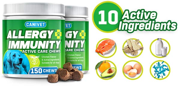 CANIVET Allergy and Immunity Chews - 150 Pack