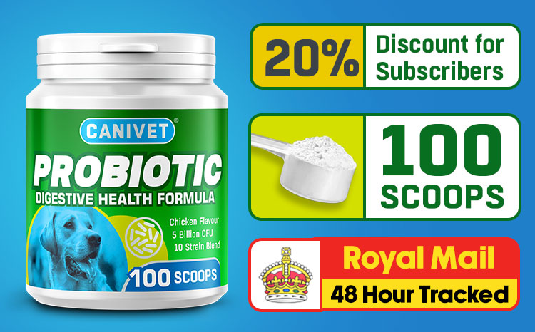 CANIVET probiotics for dogs 100g powder - 10-strain digestive formula