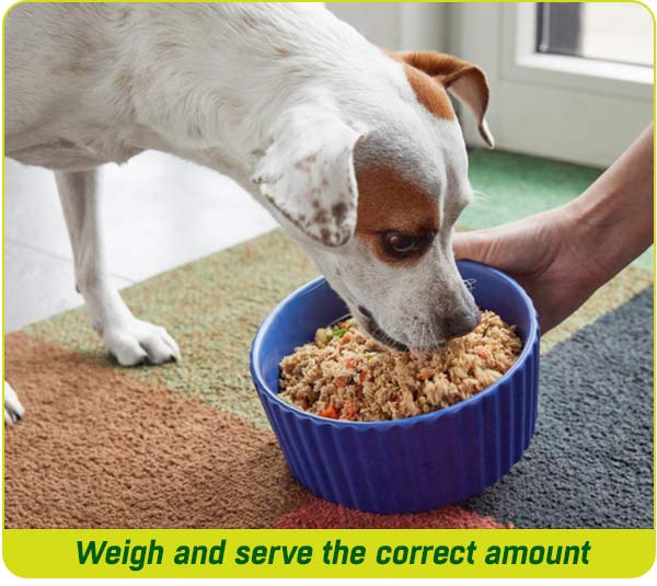 Keeping your dog lean helps them maintain good joint health