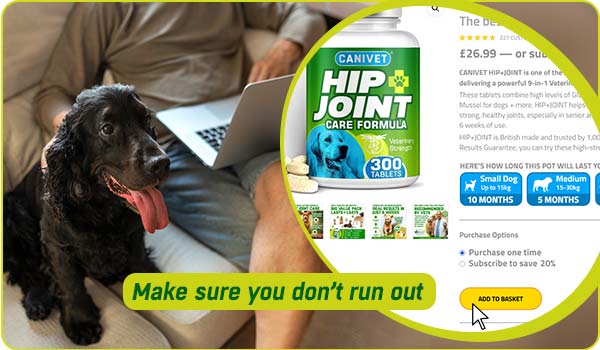 Give your dog CANIVET Hip and Joint every day to help their joints