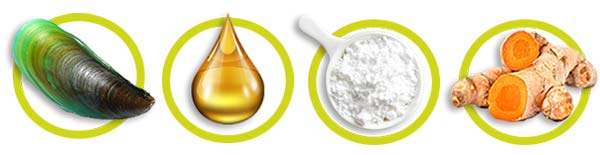 CANIVET Hip and Joint Tablets contain several powerful active ingredients